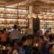 group of people gathering inside bar