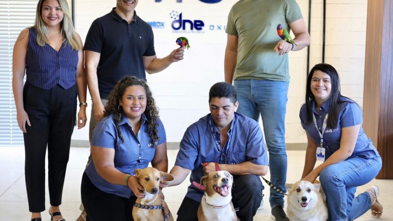 No mercado pet desde 2023, DNE Diagnósticos Nordeste humaniza ambiente de trabalho com a presença de animais de estimação