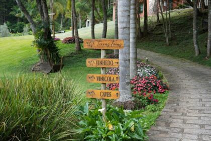 Enoturismo amplia concorrência e exige diferenciação