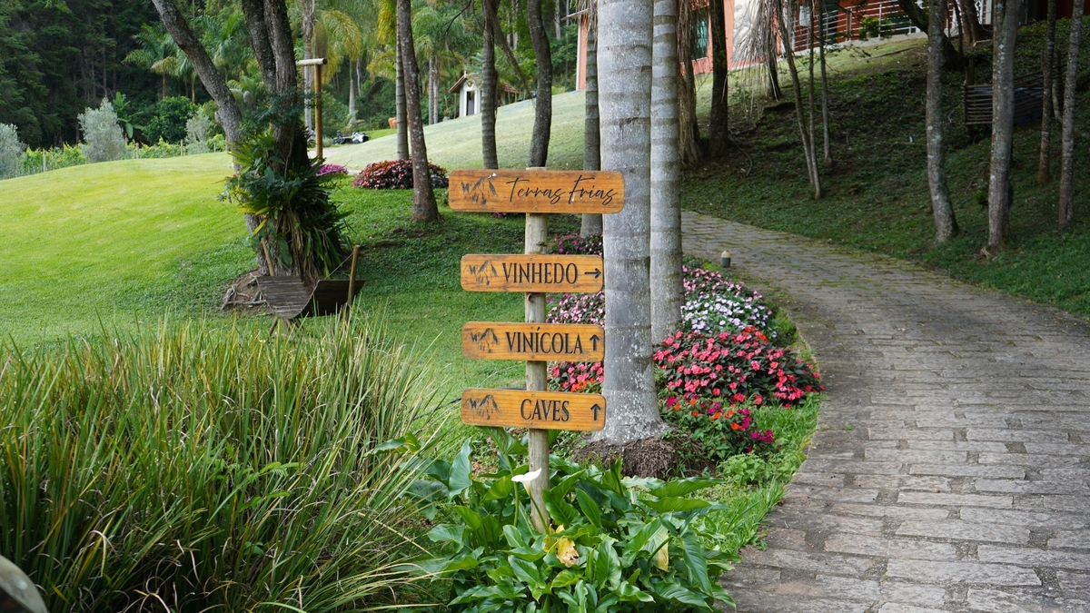 Enoturismo amplia concorrência e exige diferenciação