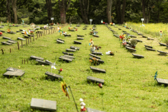 Concessão de Cemitérios de São Paulo completa três anos