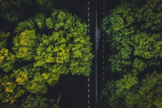 Empresas se adaptam às novas exigências de sustentabilidade