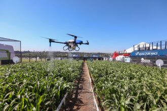 Agronegócio tem a melhor reputação corporativa do Brasil