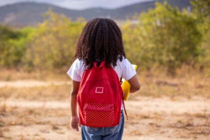 IR 2026 permite doar até 3% do imposto à infância