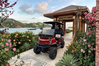 Ecoolmove lança garantia de recompra de carrinhos elétricos