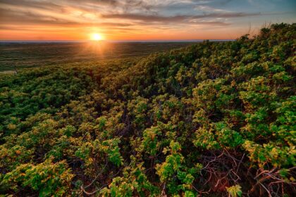 Ecora abre consulta pública na área de créditos de carbono