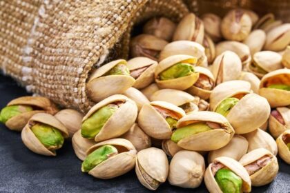 História do pistache revela expansão ao longo dos séculos