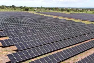 Selo ClickREC garante fornecimento de energia 100% limpa