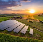 Energia solar transforma produtividade do agronegócio