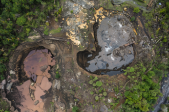 AMIG cobra ação contra mineração ilegal no Brasil