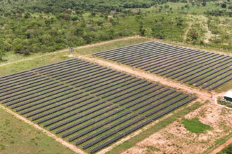 Cresce busca por assinaturas de energia solar no Brasil