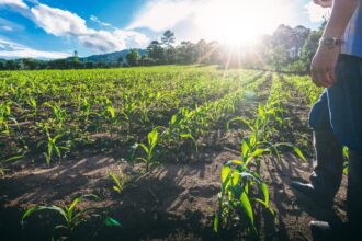 Novo El Niño reforça importância da gestão de riscos no agro