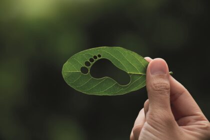 Eficiência Energética com resultados para empresas