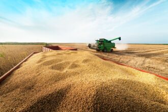 Grupo do agro aprova recuperação judicial com deságio de 85%
