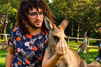 Inglês + voluntariado: experiência que fortalece causas