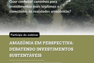 Webinário debate caminhos para investimentos sustentáveis