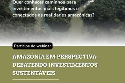 Webinário debate caminhos para investimentos sustentáveis