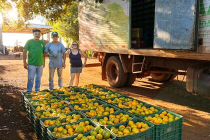 Sidrolândia lidera CeasaMS com a força do pequeno agricultor