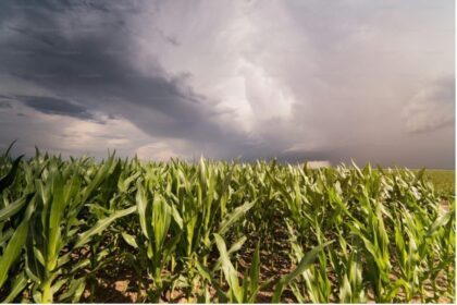 El Niño eleva desafio para a safra de verão