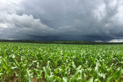 El Niño forte aumenta risco para o agronegócio