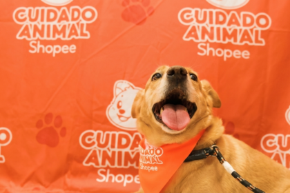 Shopee e Ampara Animal fazem mutirões gratuitos de saúde pet