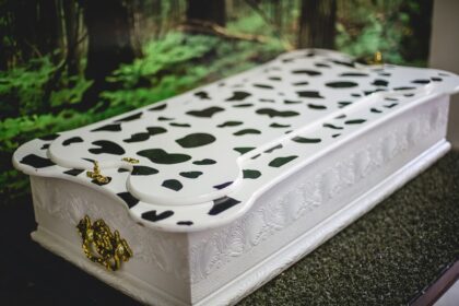 Grupo Zelo detalha opções de despedida para pets